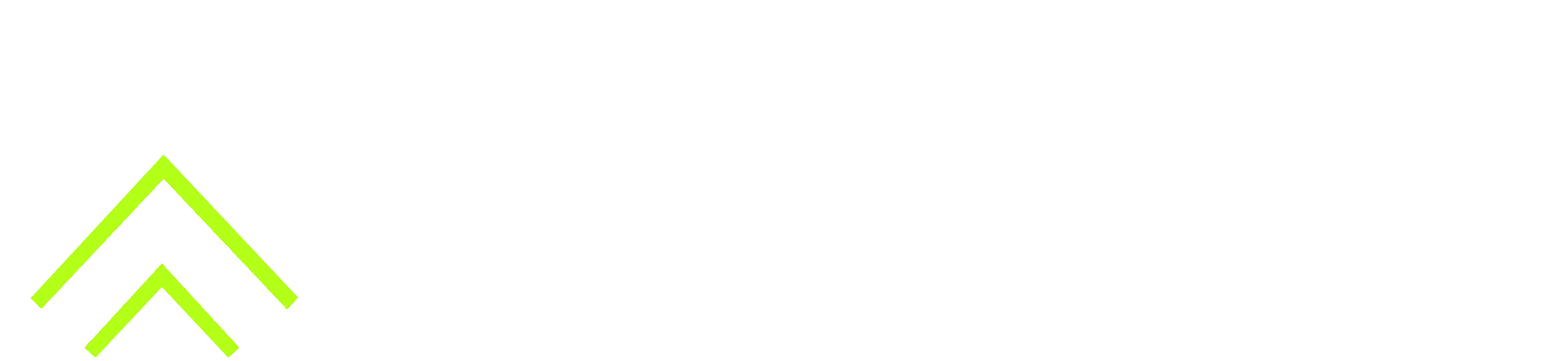 Las Vegas Premier Asset, Business & Injury Law Firm
